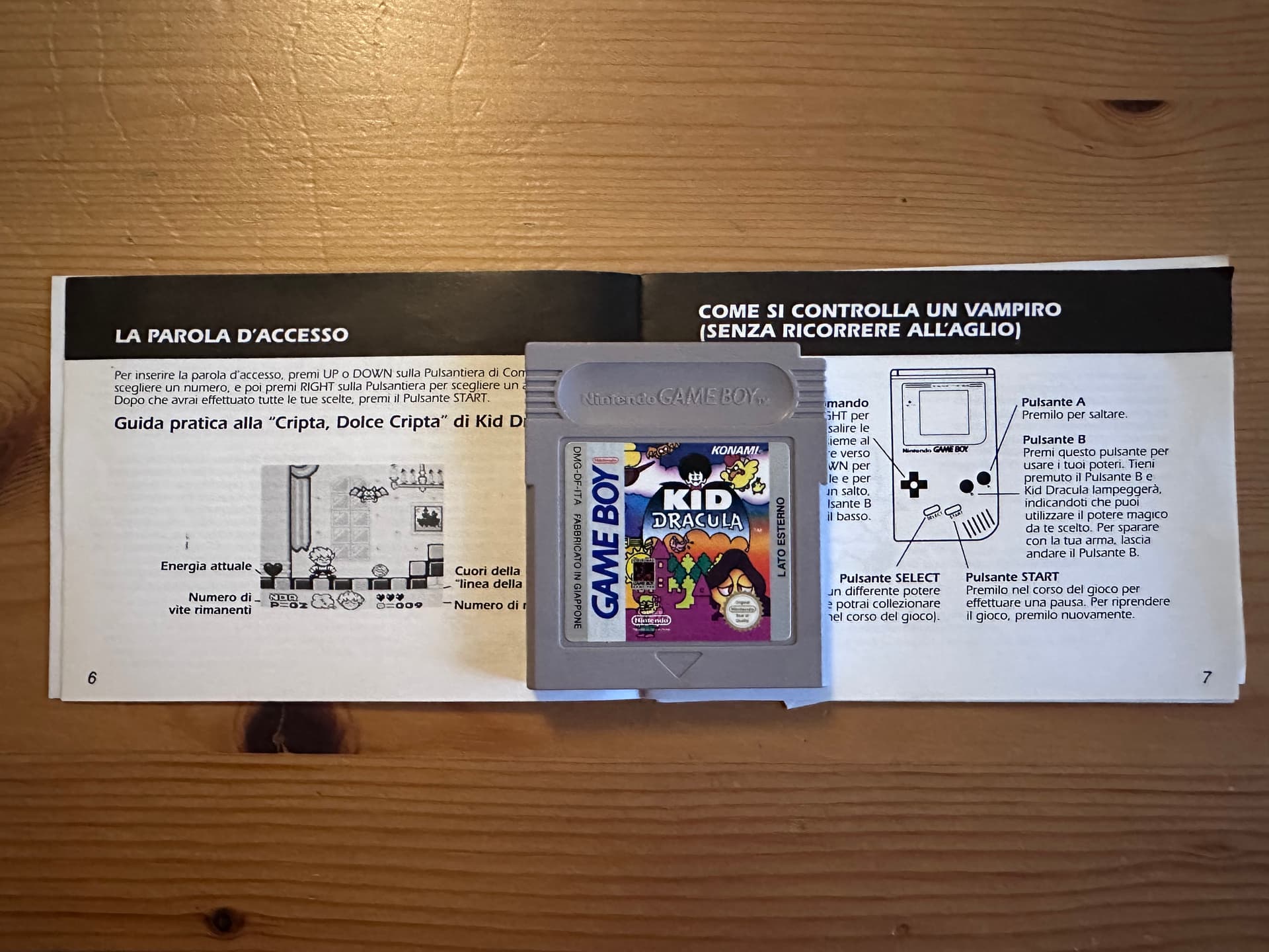 Kid Dracula - Image 3