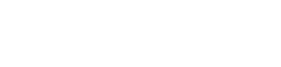 console logo