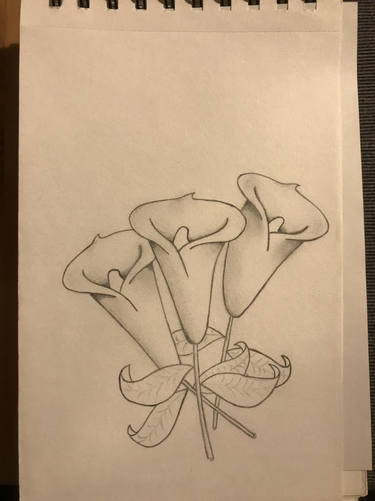 Calla lilies 💐