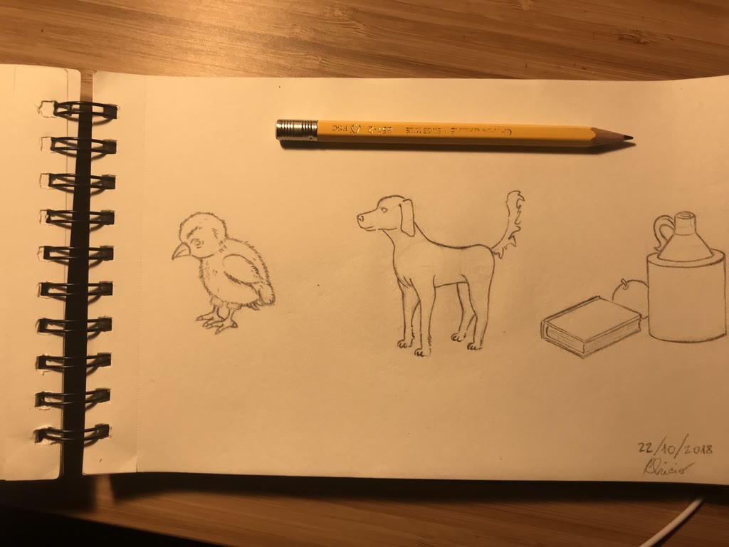 Quick studies: a chick, a dog and an inkwell 🐣🐕