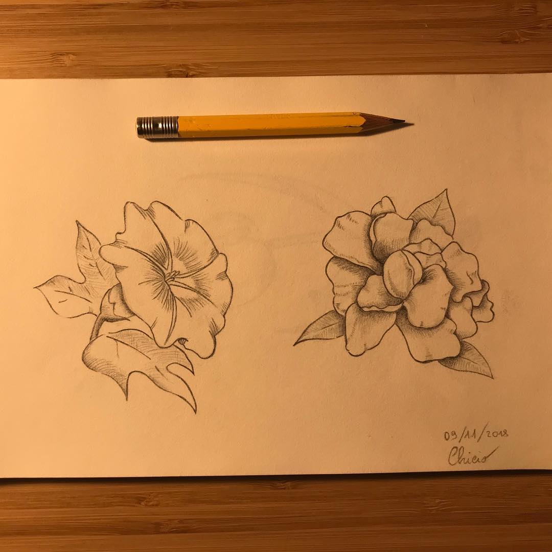 Flowers 🌺