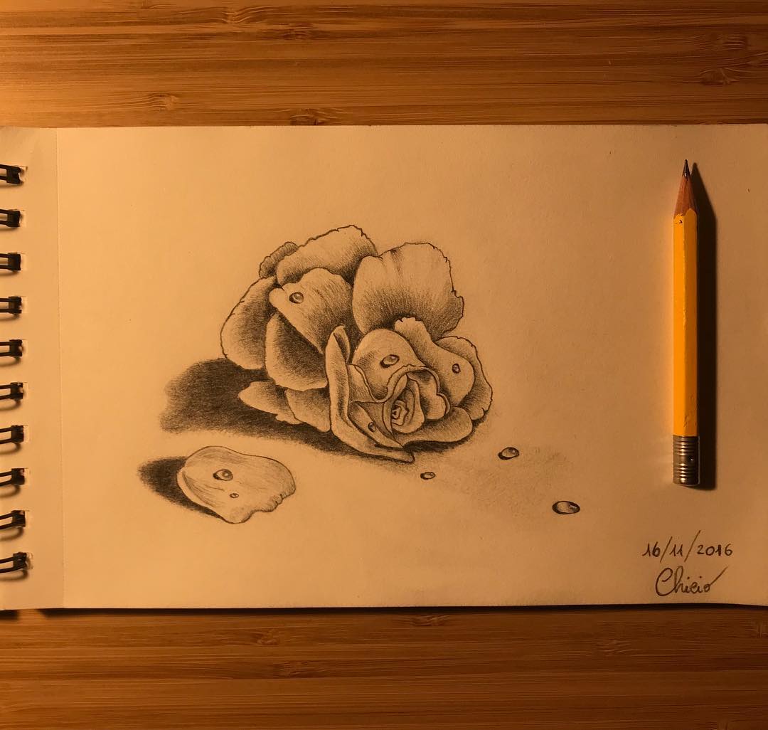 Rose 🌹