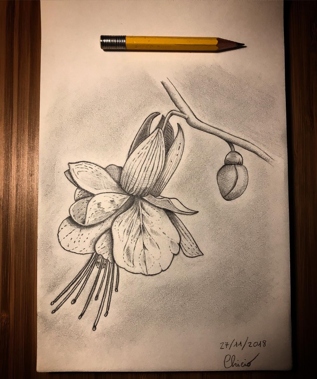 Flower 🌺