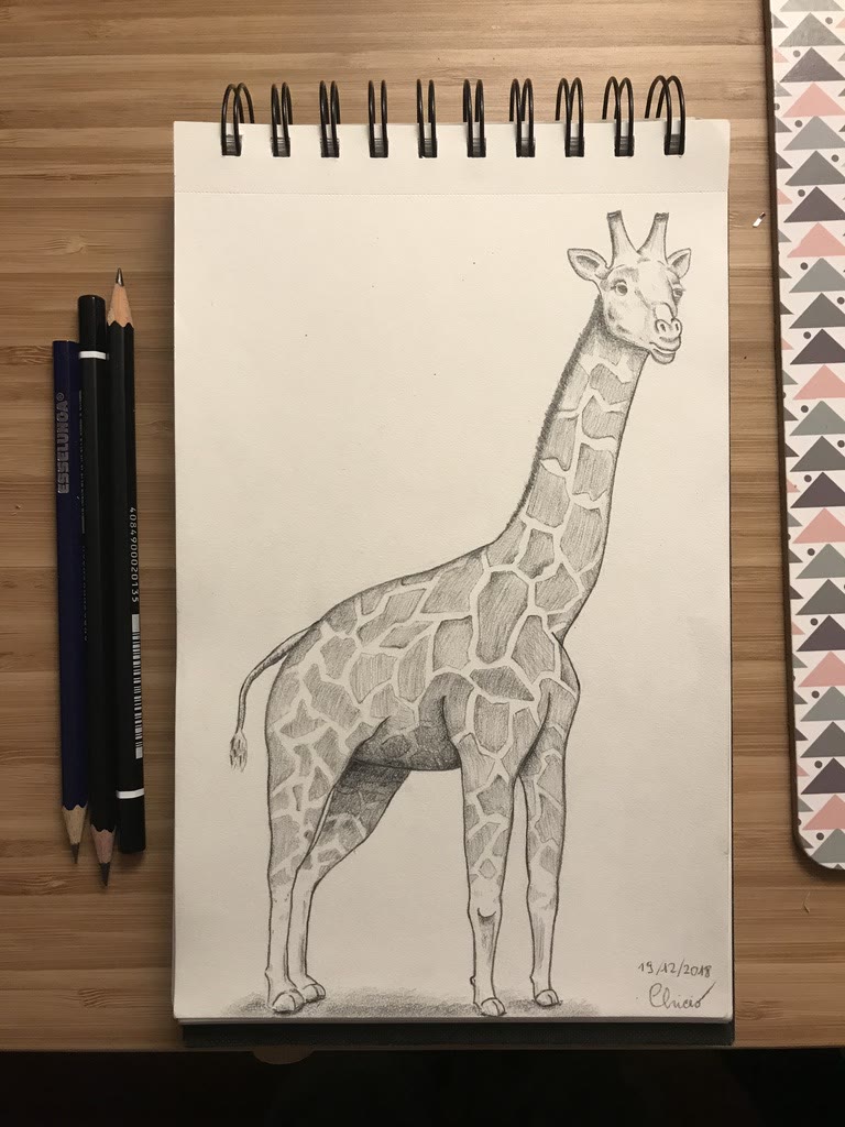 Giraffe 🦒