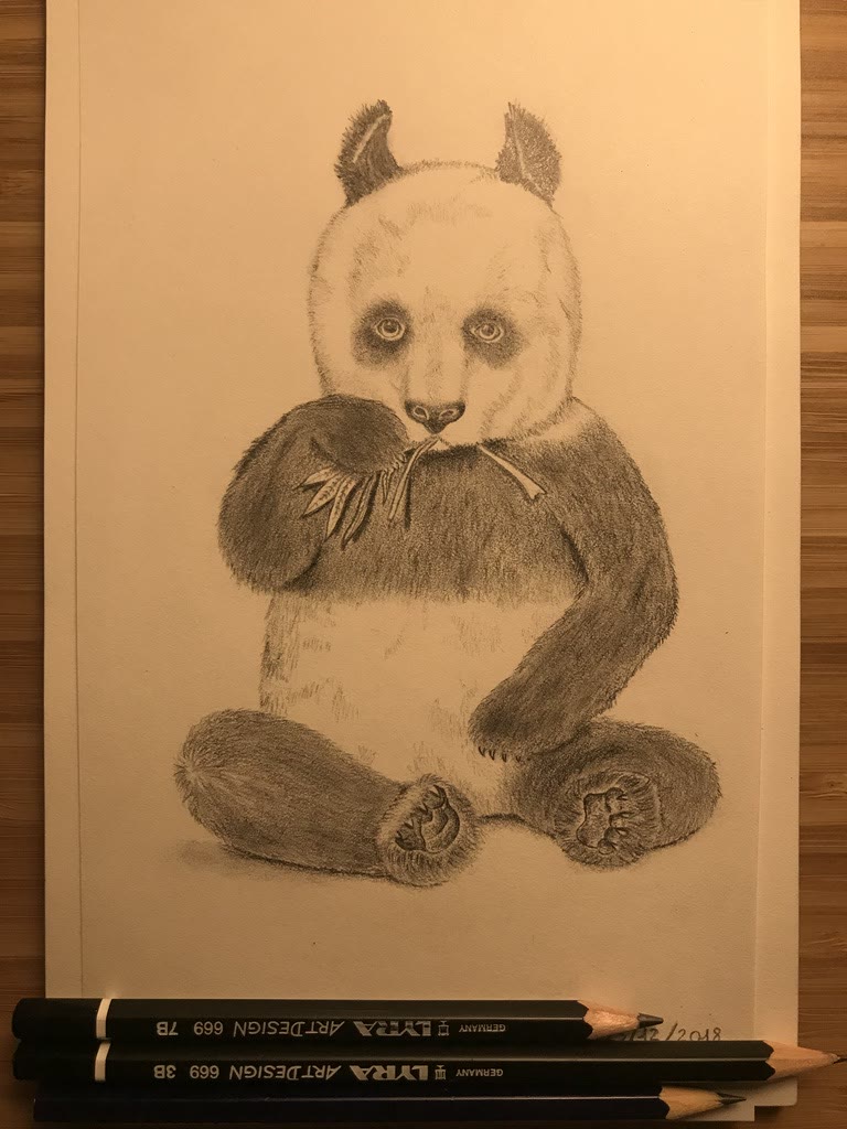 Panda 🐼