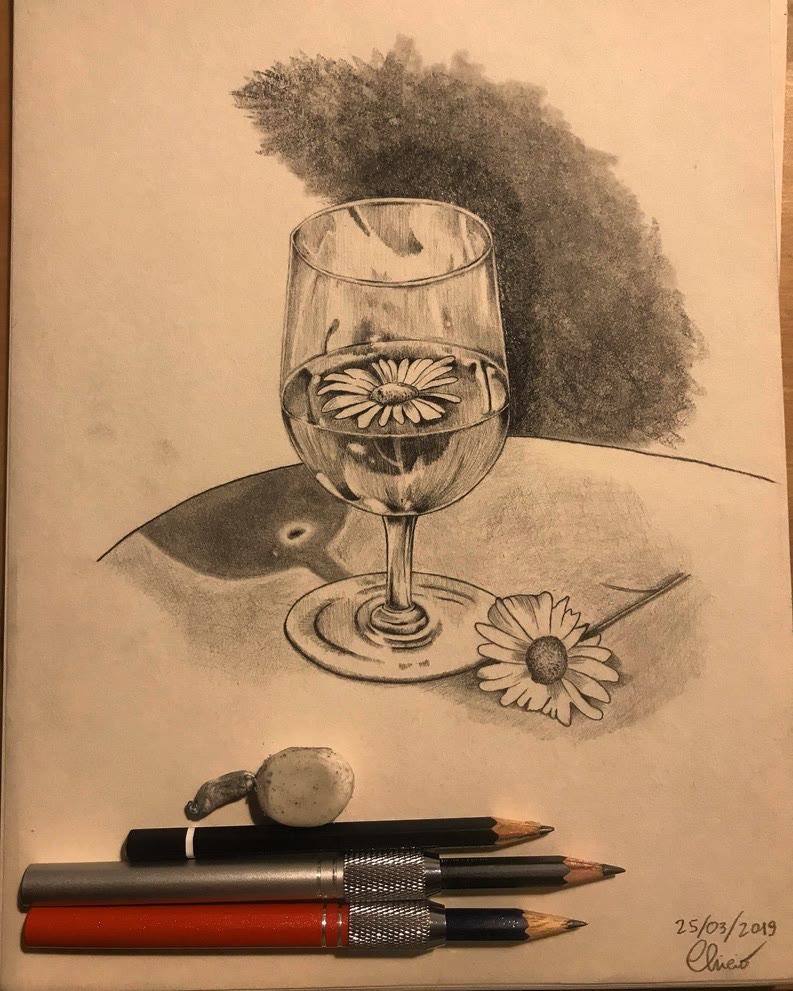 Still life: wine glass and daisy 🍷🌼