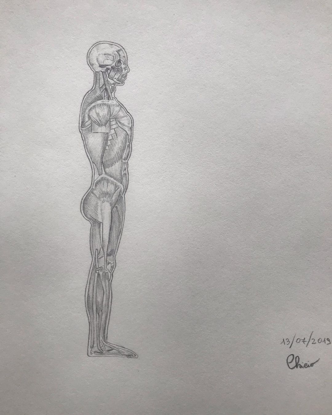 Anatomy