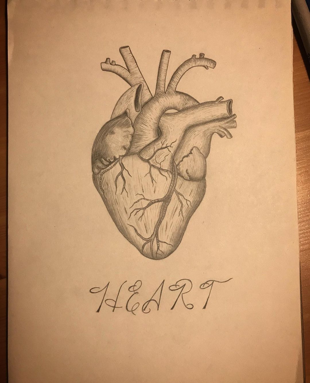 ❤️ Heart ❤️