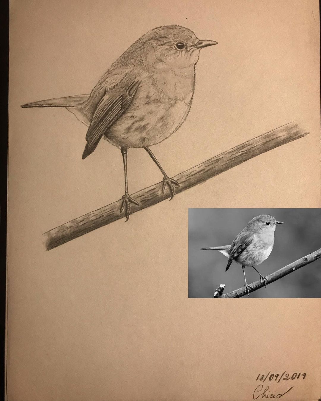 Robin with inspirational google search image ❤️