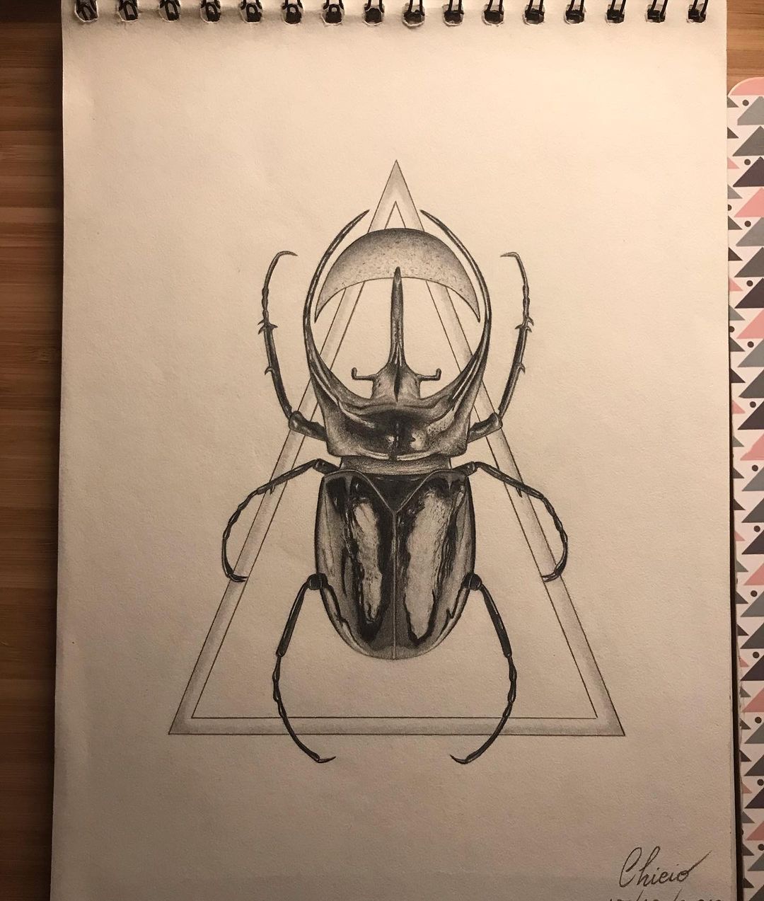 Scarab 🕷 with moon 🌝
