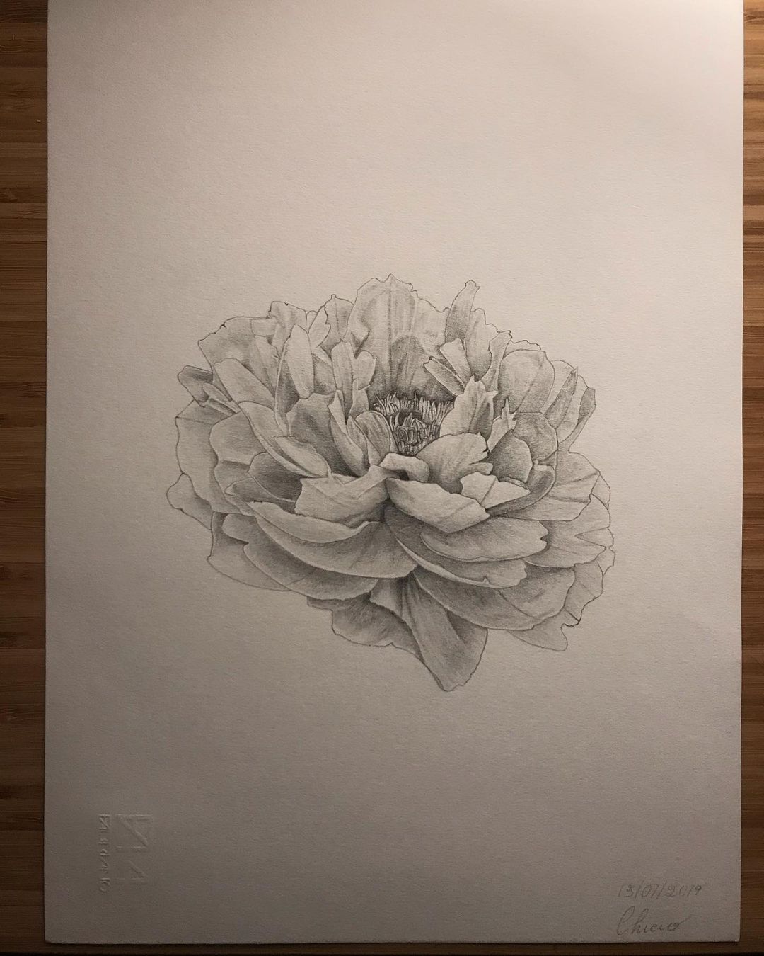 Peony 🌸