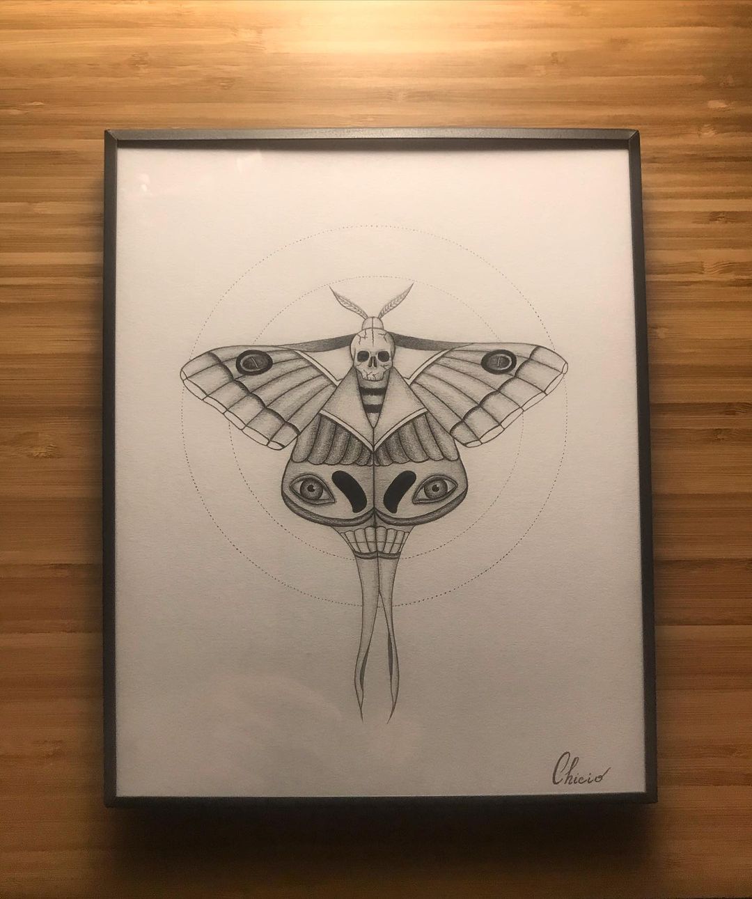 Death's-head moth 🦋💀