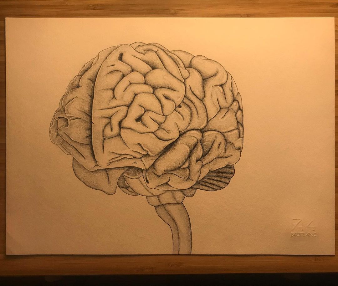 Brain 🧠