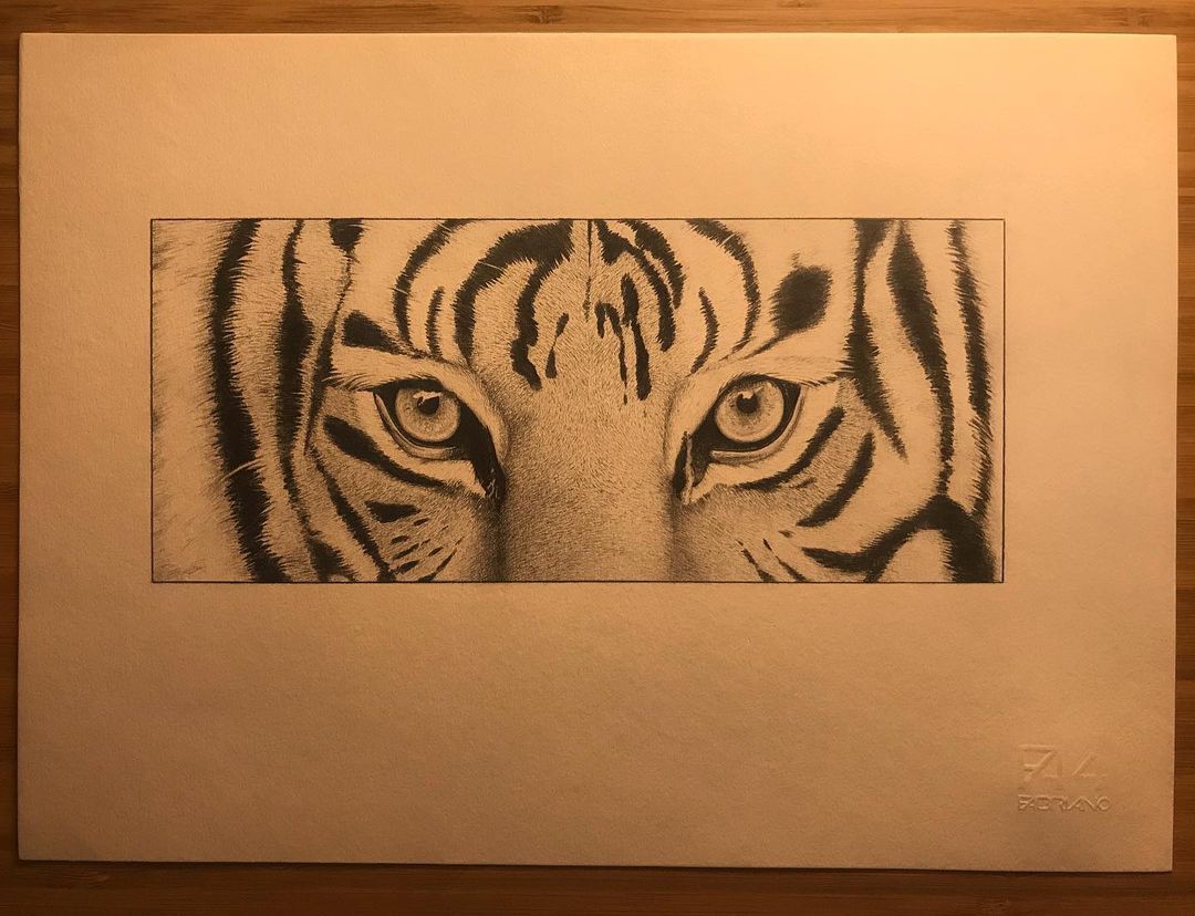 Tiger eyes 🐯