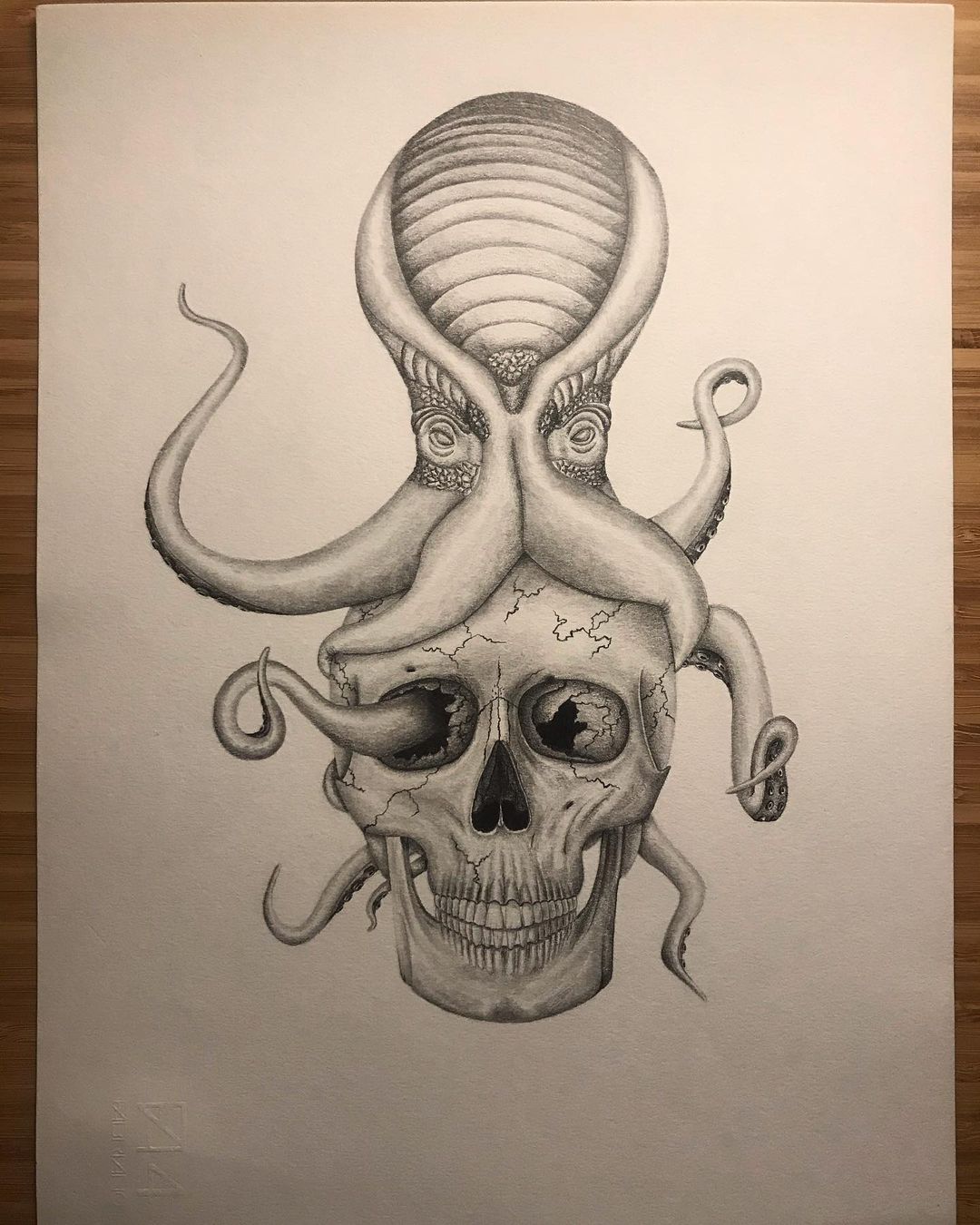 Octopus on a skull 🐙💀
