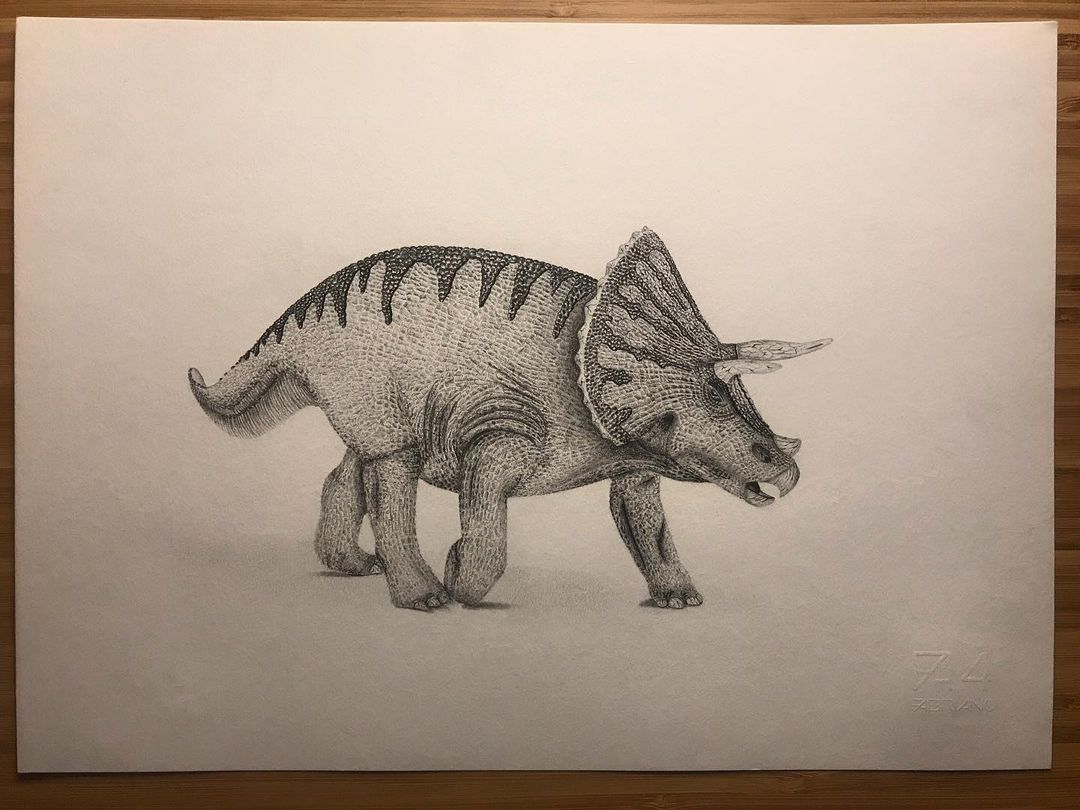Triceratops 🦕