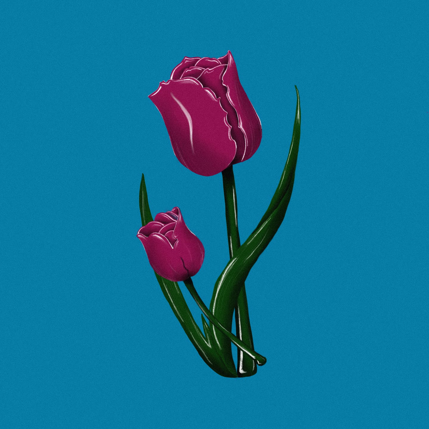 Tulips, digital painting 🌷