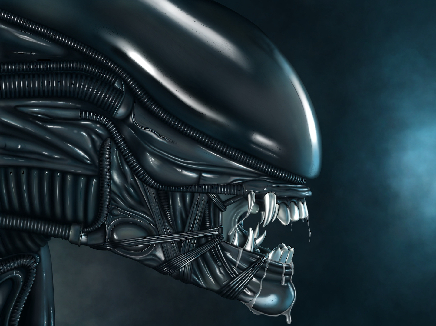 Xenomorph from Alien 👽🥚