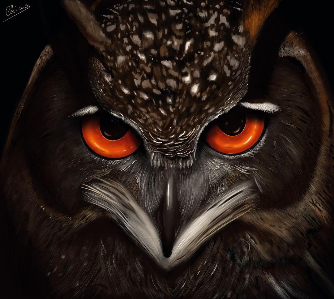 Owl with evil eyes🦉