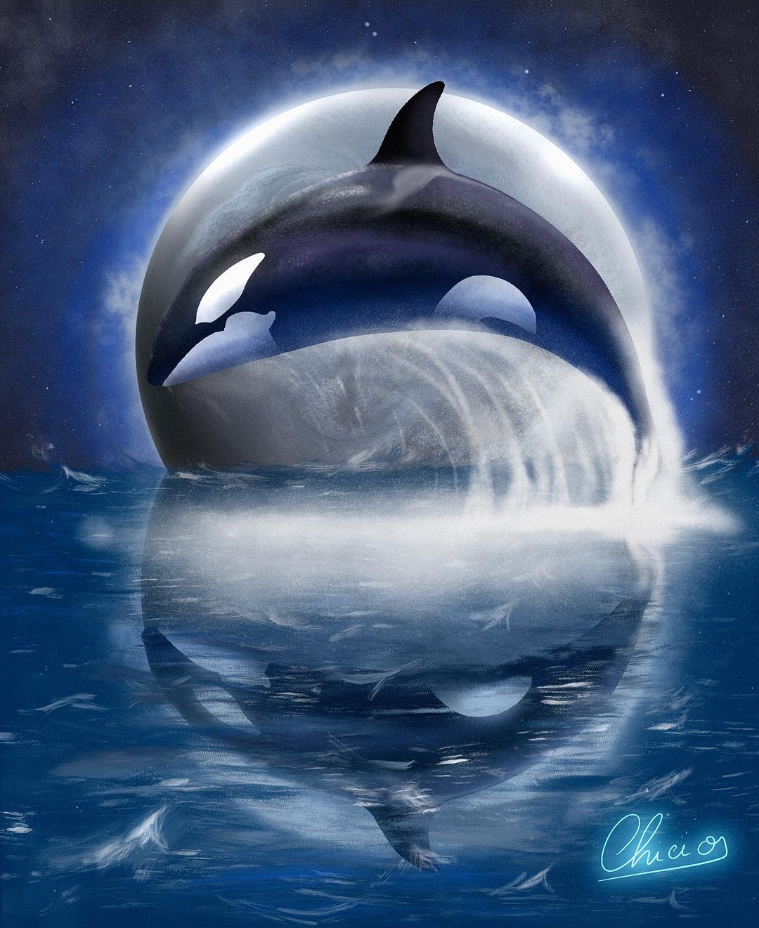 Orca 🐟🐠🐡