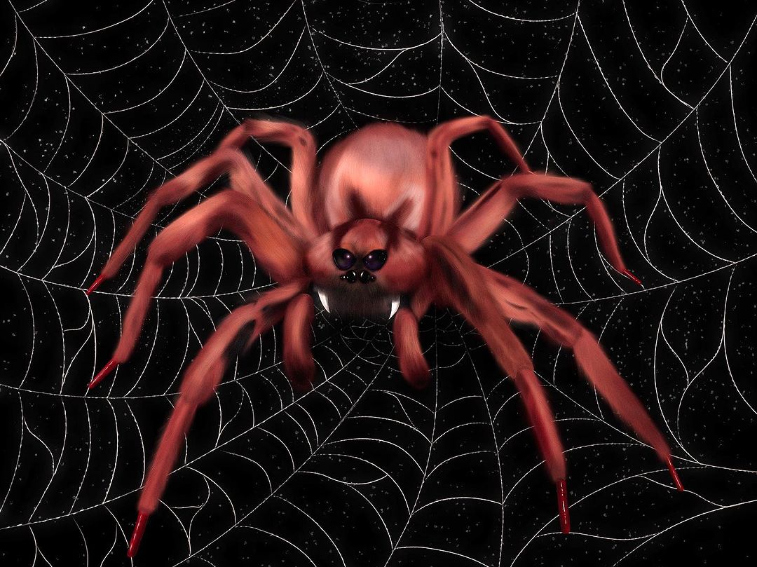 Spider 🕷️