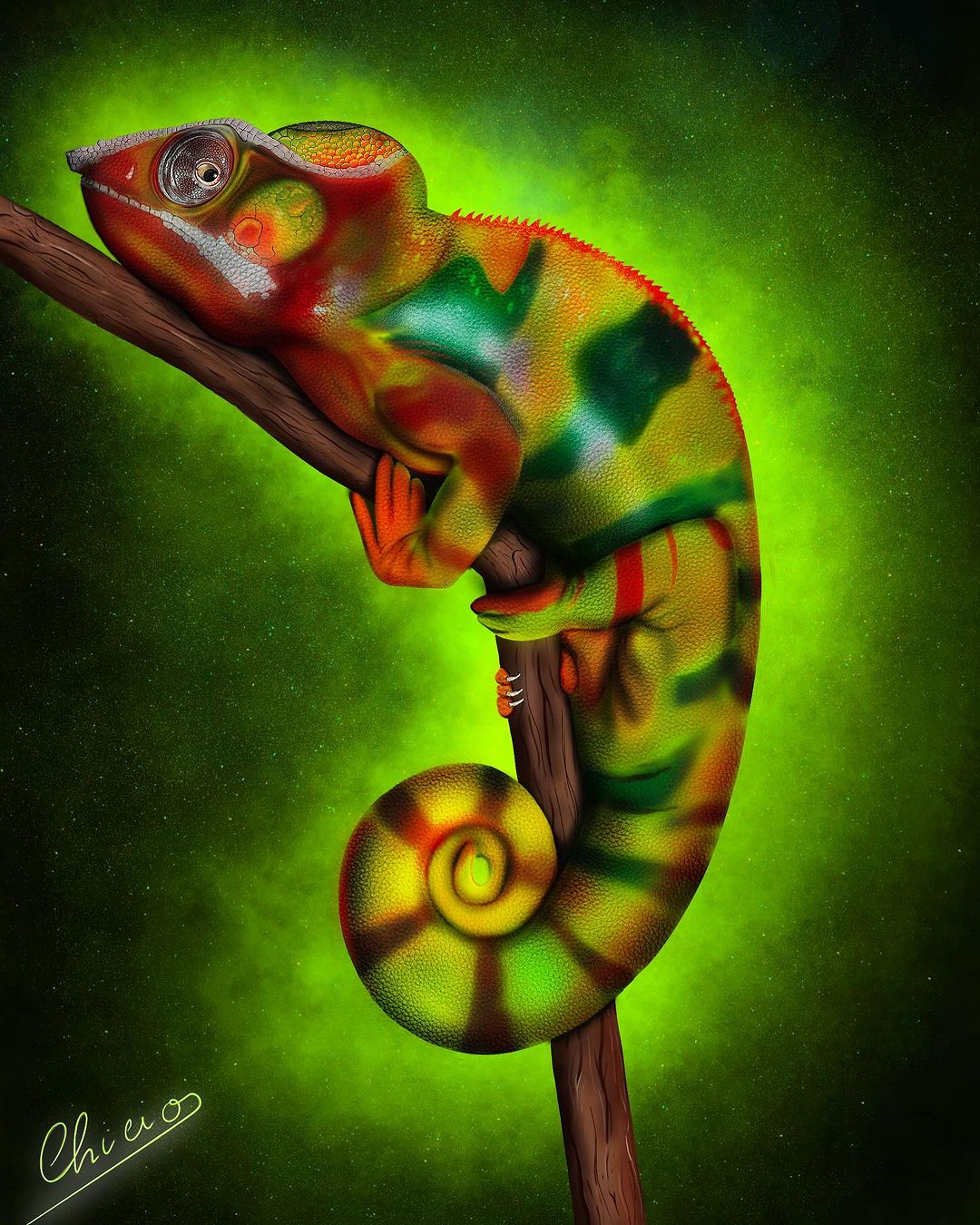 Chameleon 🐉🦁